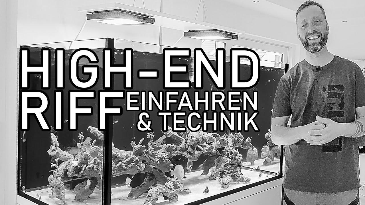 HIGH-END saltwater aquarium |  Problems when operating in, fish & technology EXPLAINED (600l)