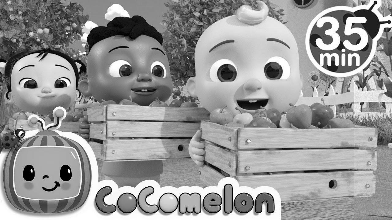 Study to Depend with Apples + Extra Nursery Rhymes & Youngsters Songs – CoComelon